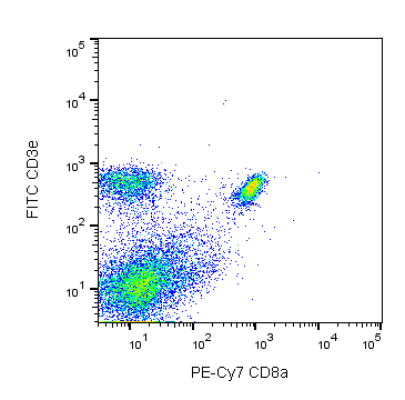 BD PE-Cy7 Rat Anti-Mouse CD8a