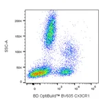 BD BV605 Rat Anti-Human CX3CR1