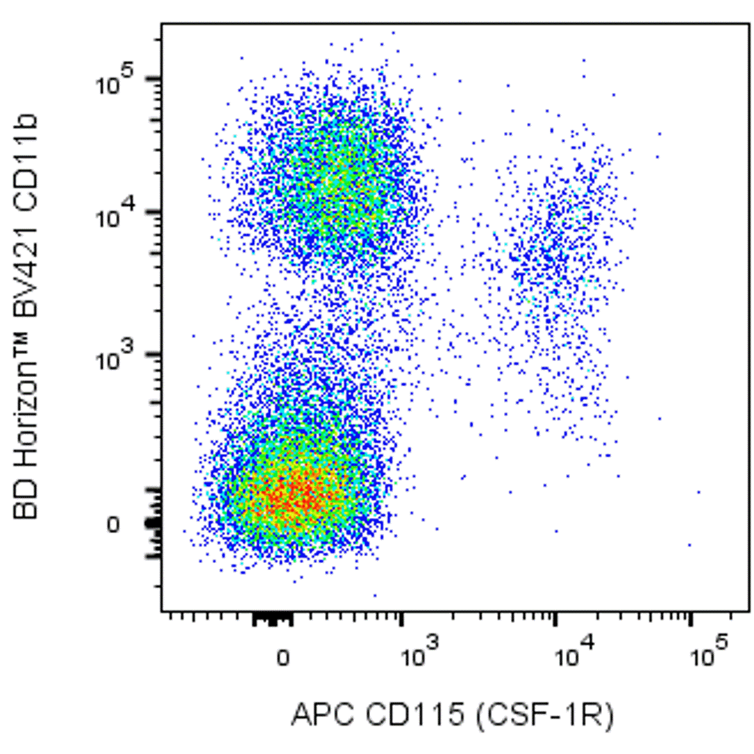 BD APC Rat Anti-Mouse CD115 (CSF-1R)