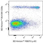 BD RB670 Rat Anti-Mouse Ly-6C