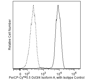BD PerCP-Cy5.5 Mouse Anti-Oct3/4 (Human Isoform A)