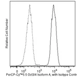 BD PerCP-Cy5.5 Mouse Anti-Oct3/4 (Human Isoform A)