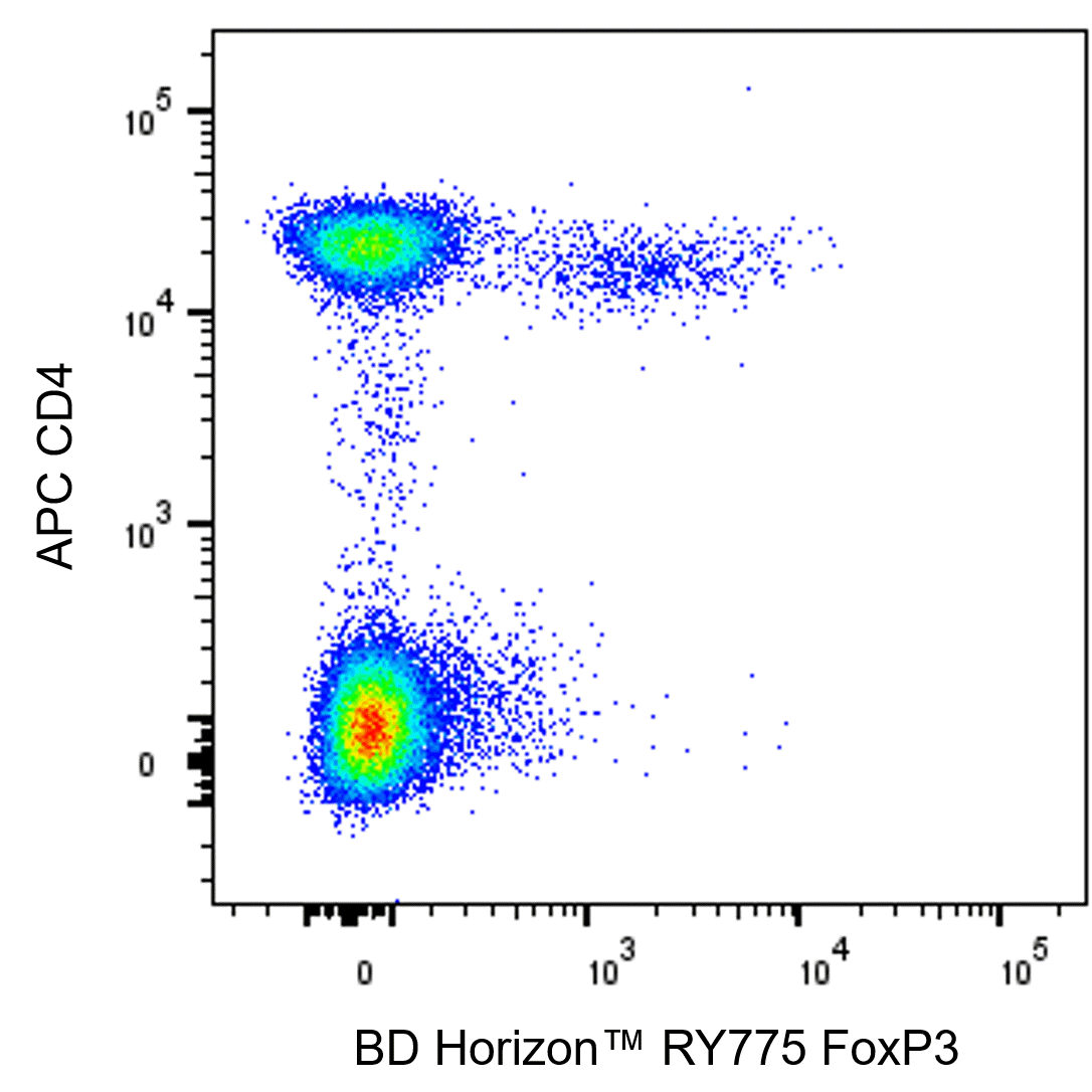 BD RY775 Mouse Anti-Human FoxP3