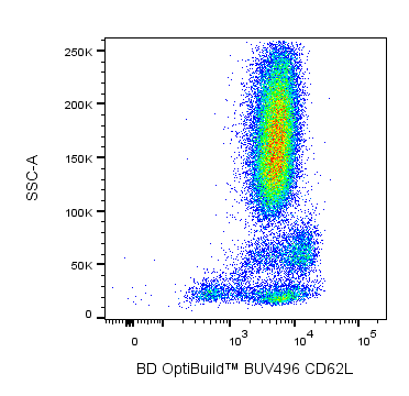 BD BUV496 Mouse Anti-Human CD62L