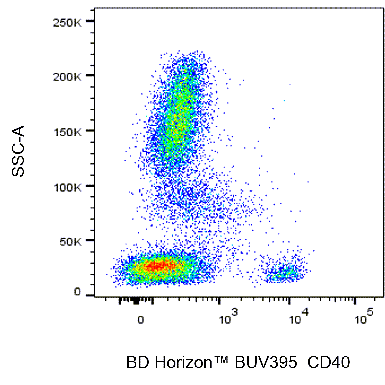 BD BUV395 Mouse Anti-Human CD40