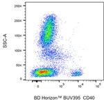 BD BUV395 Mouse Anti-Human CD40