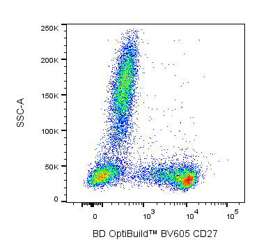 BD BV605 Mouse Anti-Human CD27