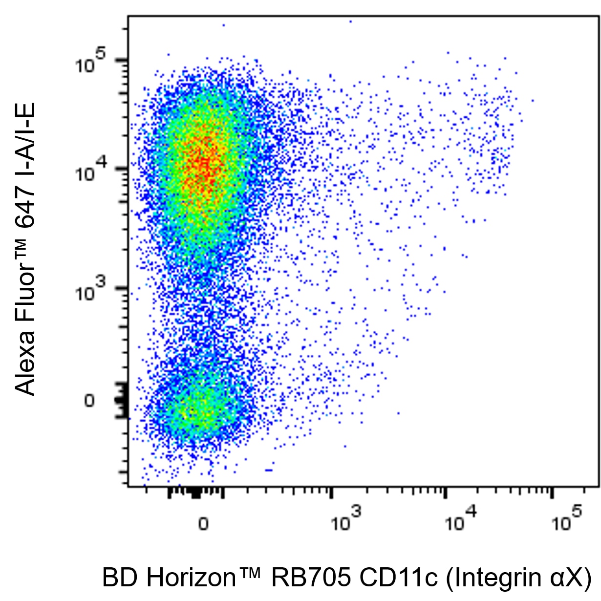 BD RB705 Hamster Anti-Mouse CD11c (Integrin αX)