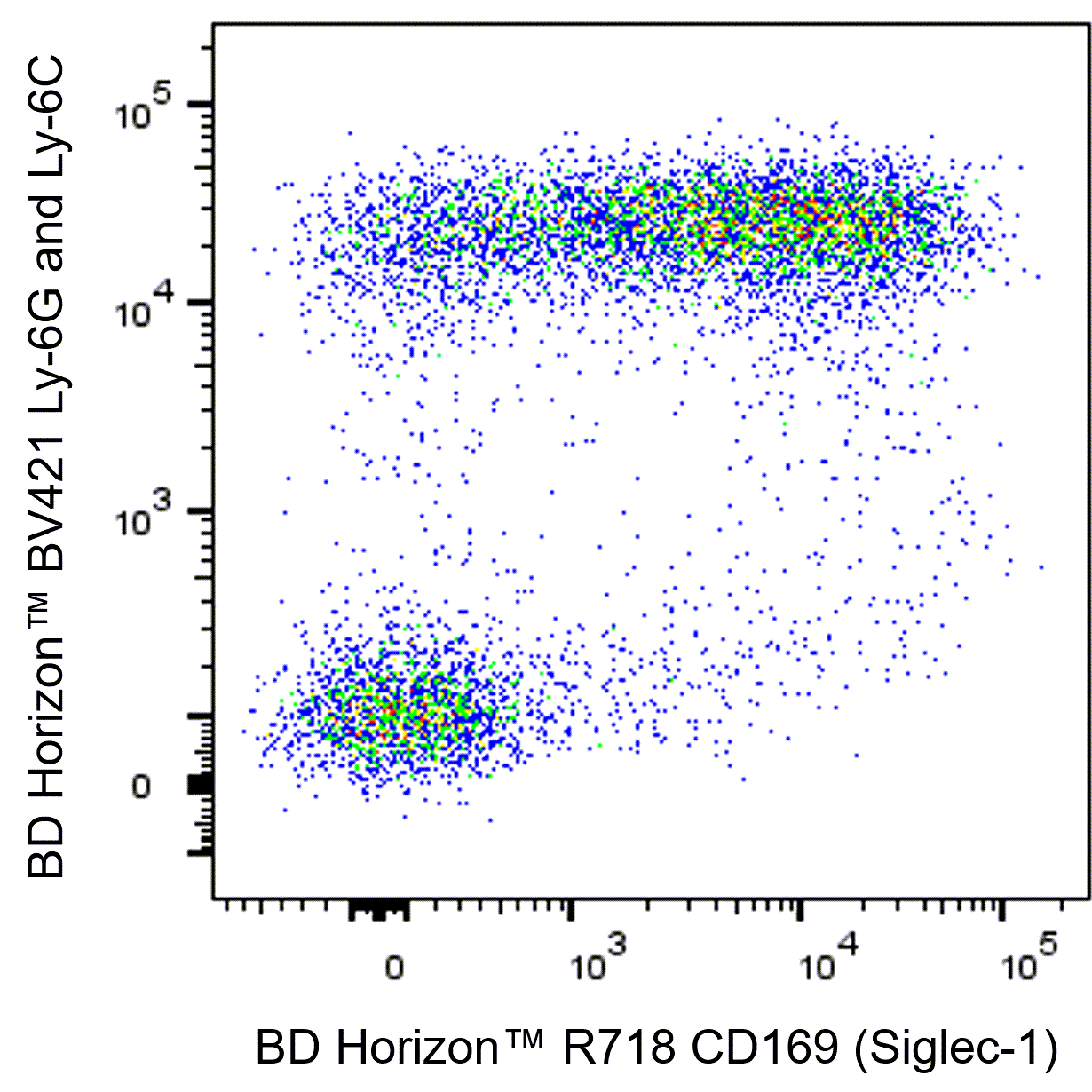 BD R718 Rat Anti-Mouse CD169 (Siglec-1)