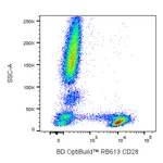 BD RB613 Mouse Anti-Human CD28