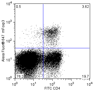 BD Alexa Fluor® 647 Rat anti-Mouse Foxp3