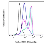 BD Purified Rat Anti-TOX