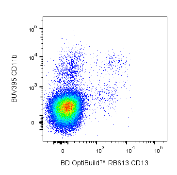 BD RB613 Rat Anti-Mouse CD13