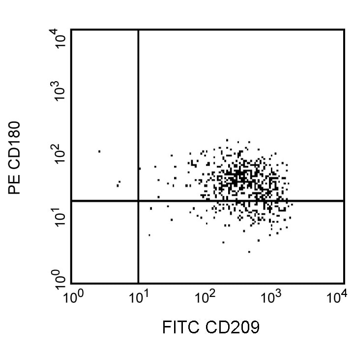 BD PE Mouse Anti-Human CD180