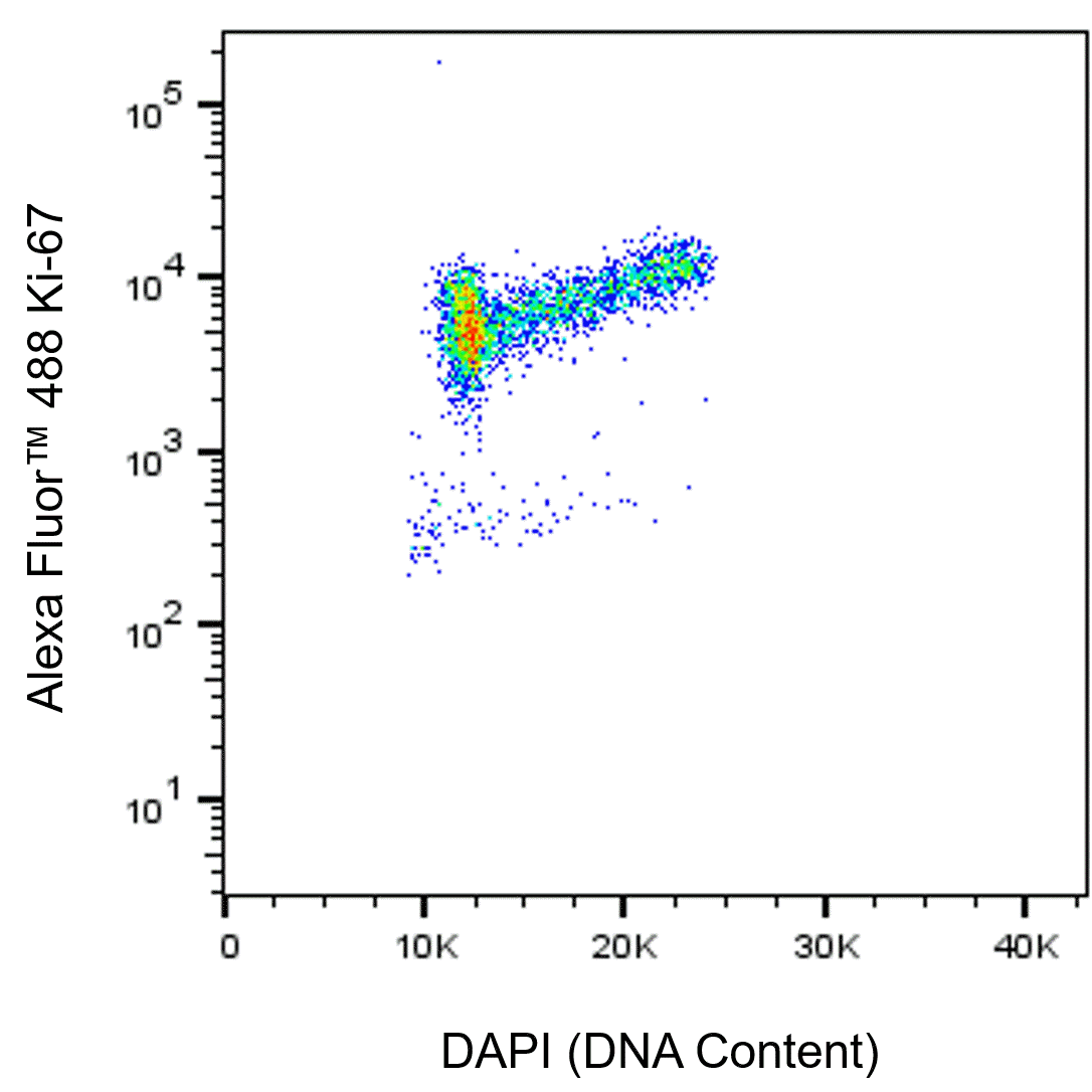 BD Alexa Fluor 488 Mouse Anti-Human Ki-67