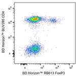 BD RB613 Mouse Anti-Human FoxP3