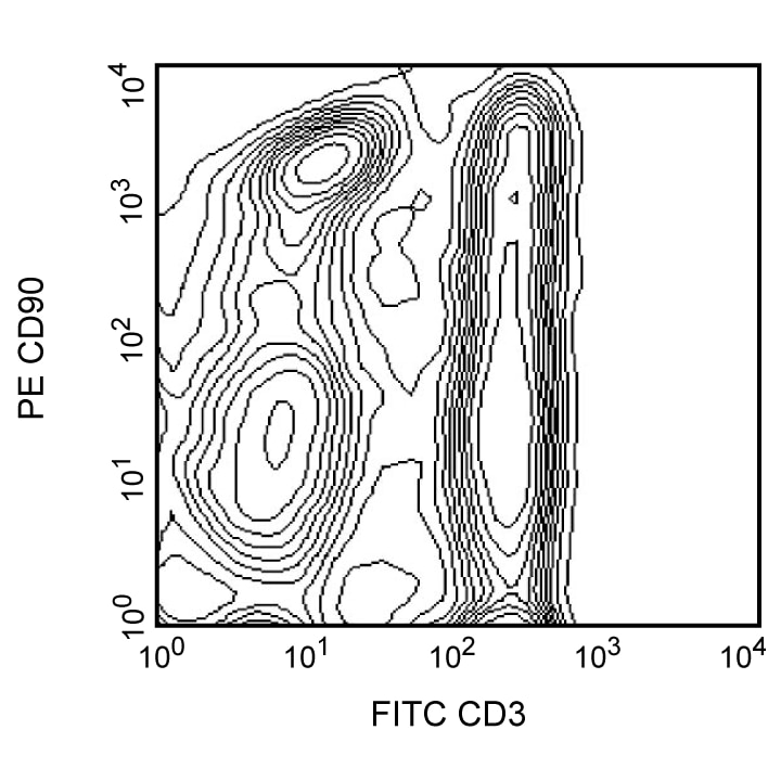 BD PE Mouse Anti-Rat CD90/Mouse CD90.1