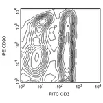 BD PE Mouse Anti-Rat CD90/Mouse CD90.1