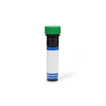 BD RB545 Mouse Anti-Biotin