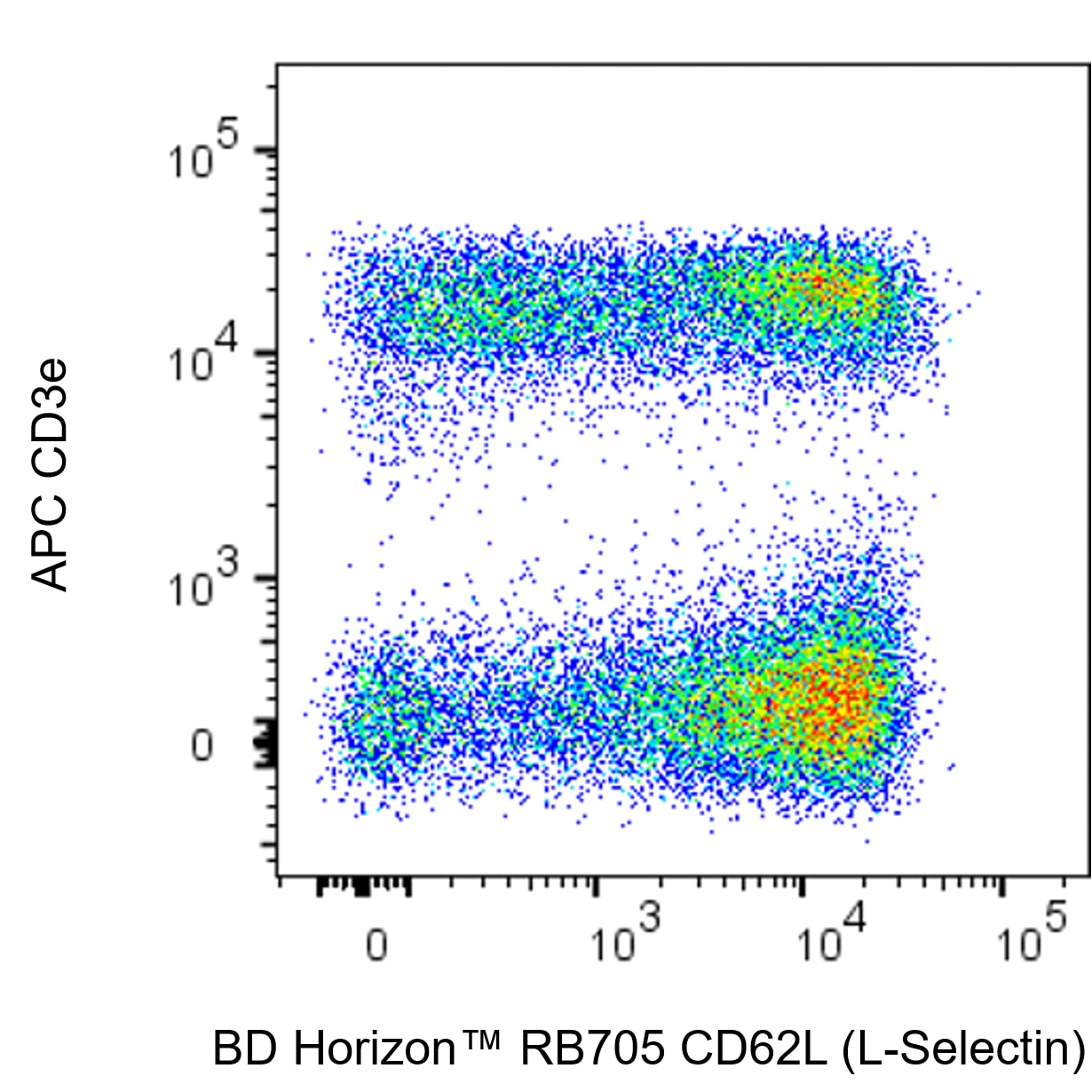 BD RB705 Rat Anti-Mouse CD62L (L-Selectin)