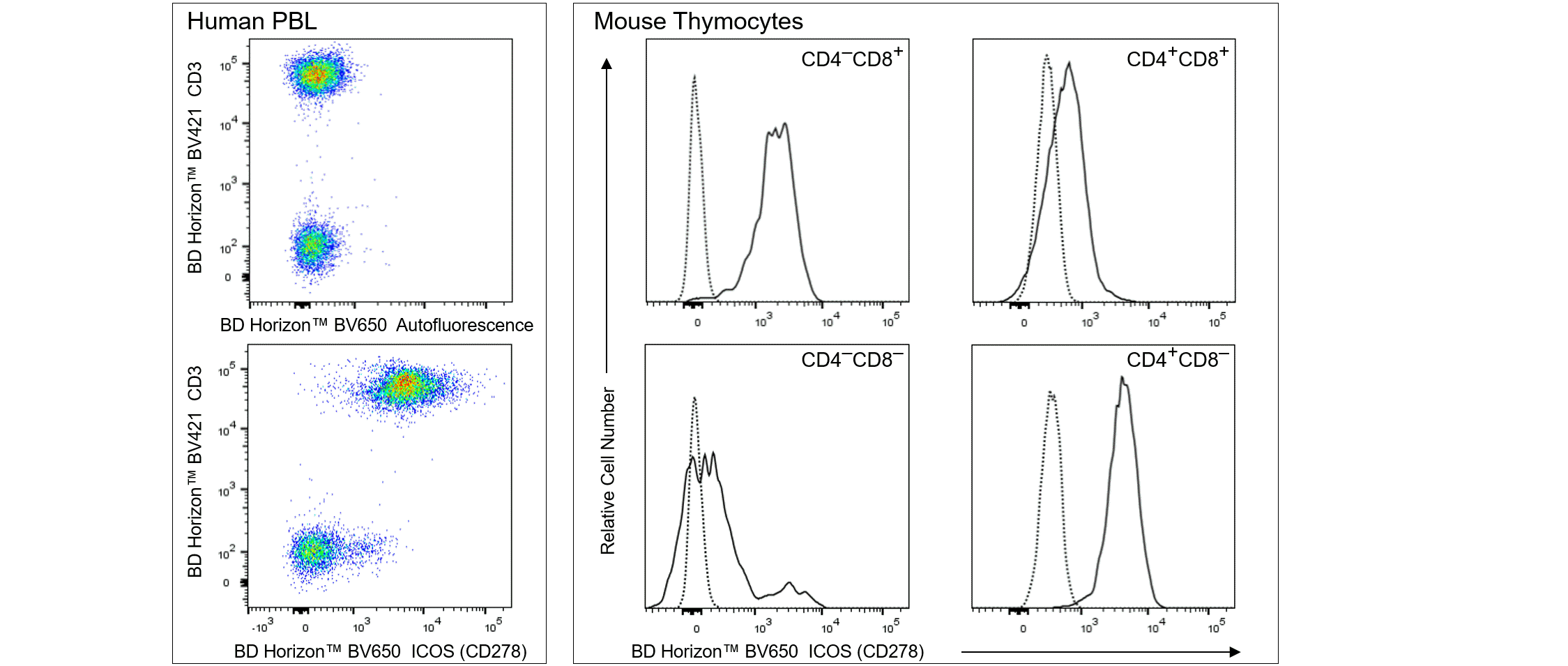 BD BV650 Armenian Hamster Anti-ICOS (CD278)