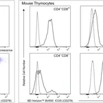 BD BV650 Armenian Hamster Anti-ICOS (CD278)