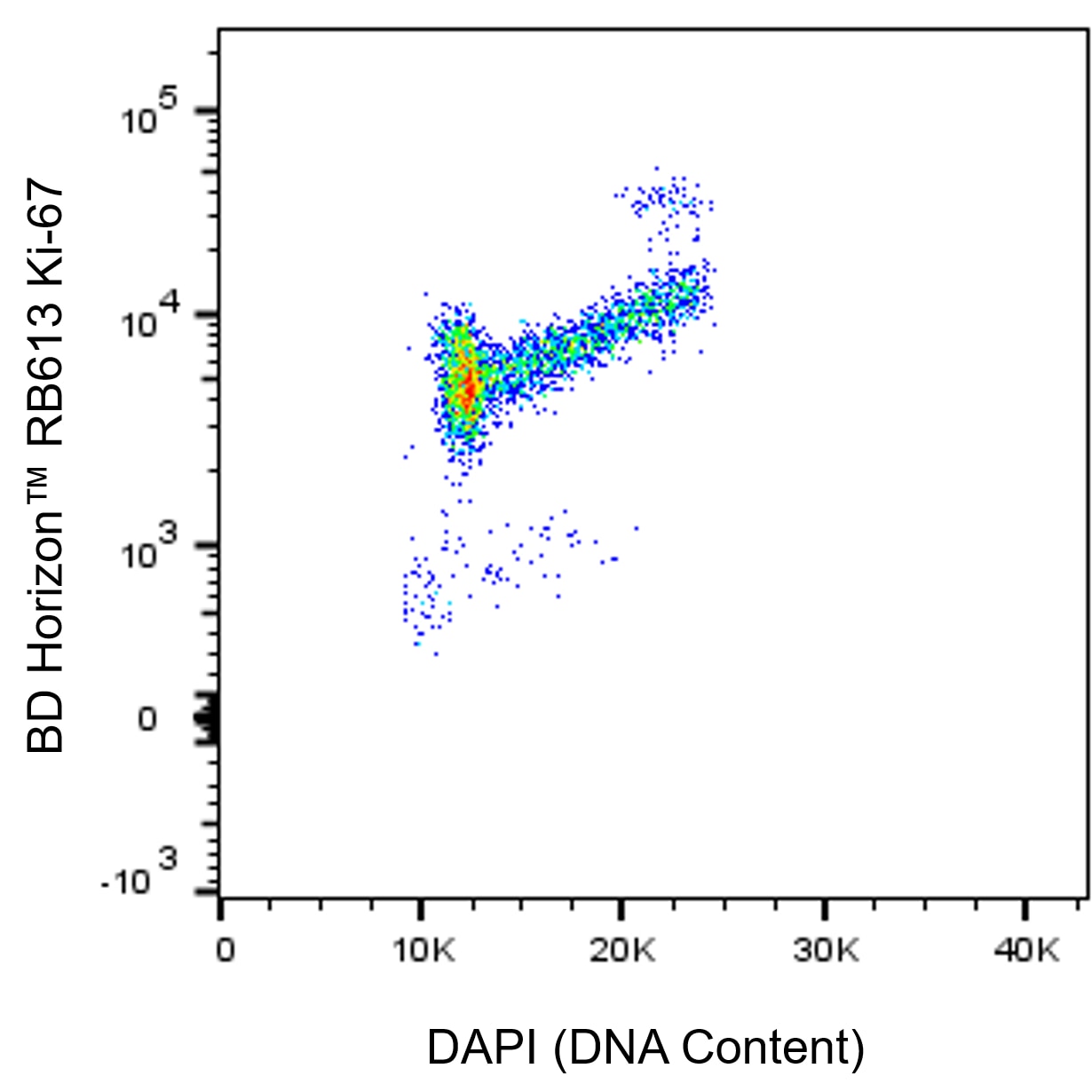 BD RB613 Mouse Anti-Human Ki-67