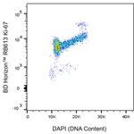 BD RB613 Mouse Anti-Human Ki-67