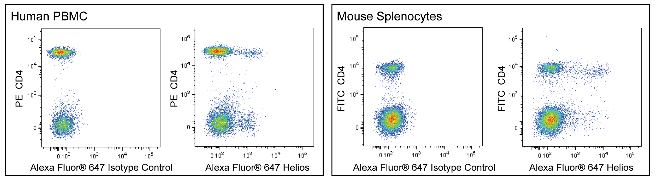 BD Alexa Fluor® 647 Armenian Hamster Anti-Helios