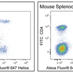 BD Alexa Fluor® 647 Armenian Hamster Anti-Helios