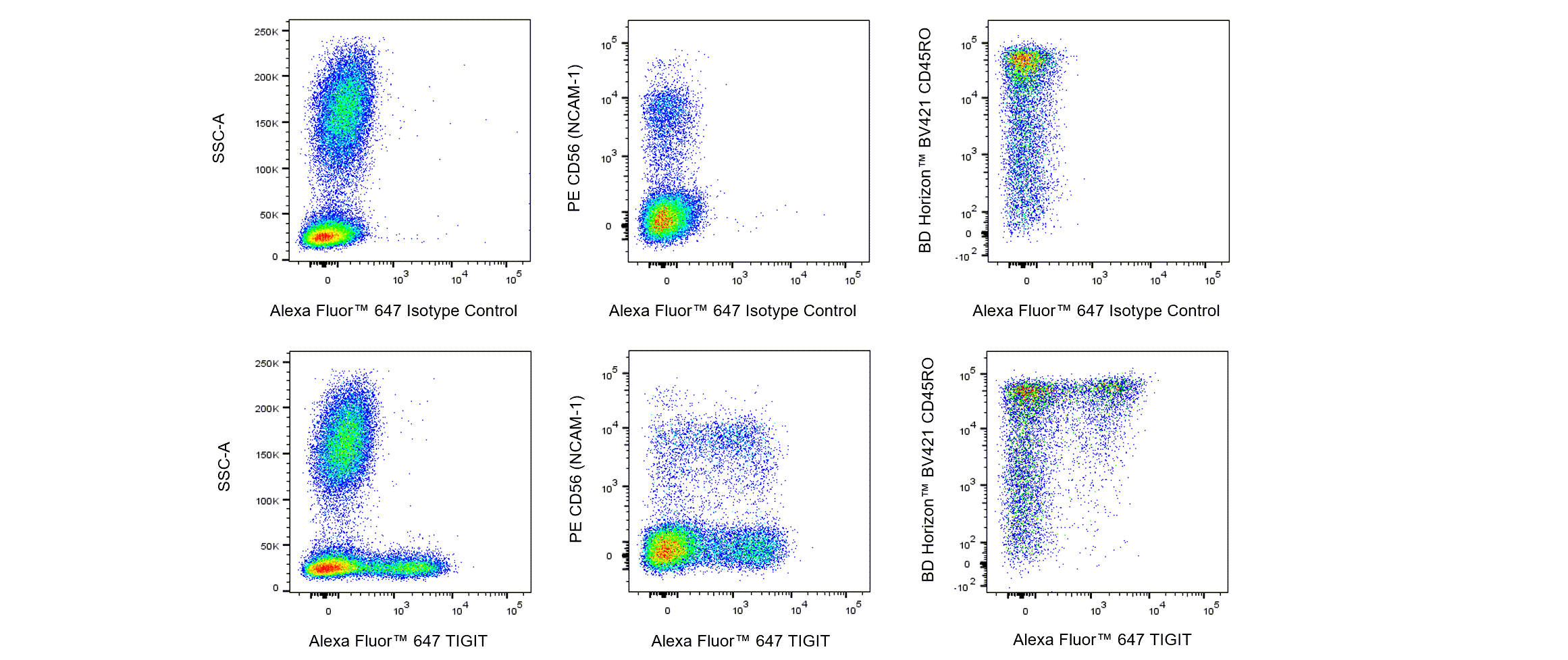 BD Alexa Fluor 647 Mouse Anti-Human TIGIT