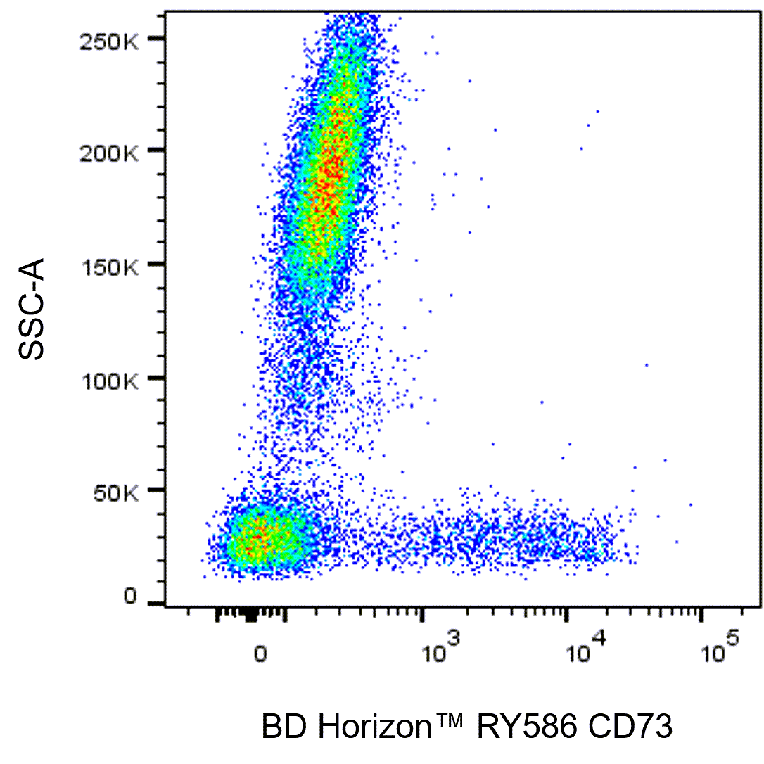 BD RY586 Mouse Anti-Human CD73