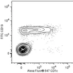 BD Alexa Fluor® 647 Mouse Anti-Human CD1c