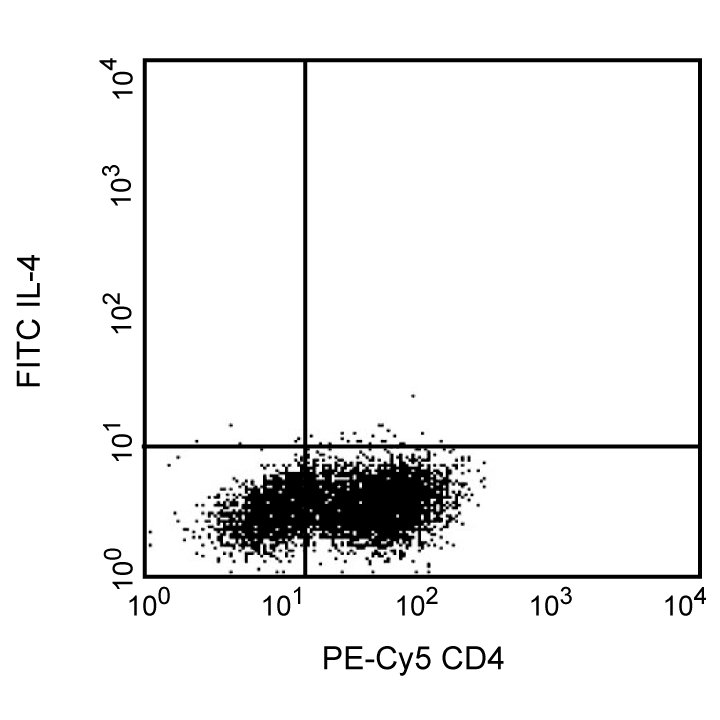 BD FITC Rat Anti-Human IL-4