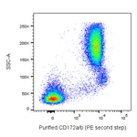 BD Purified Mouse Anti-Human CD172a/b