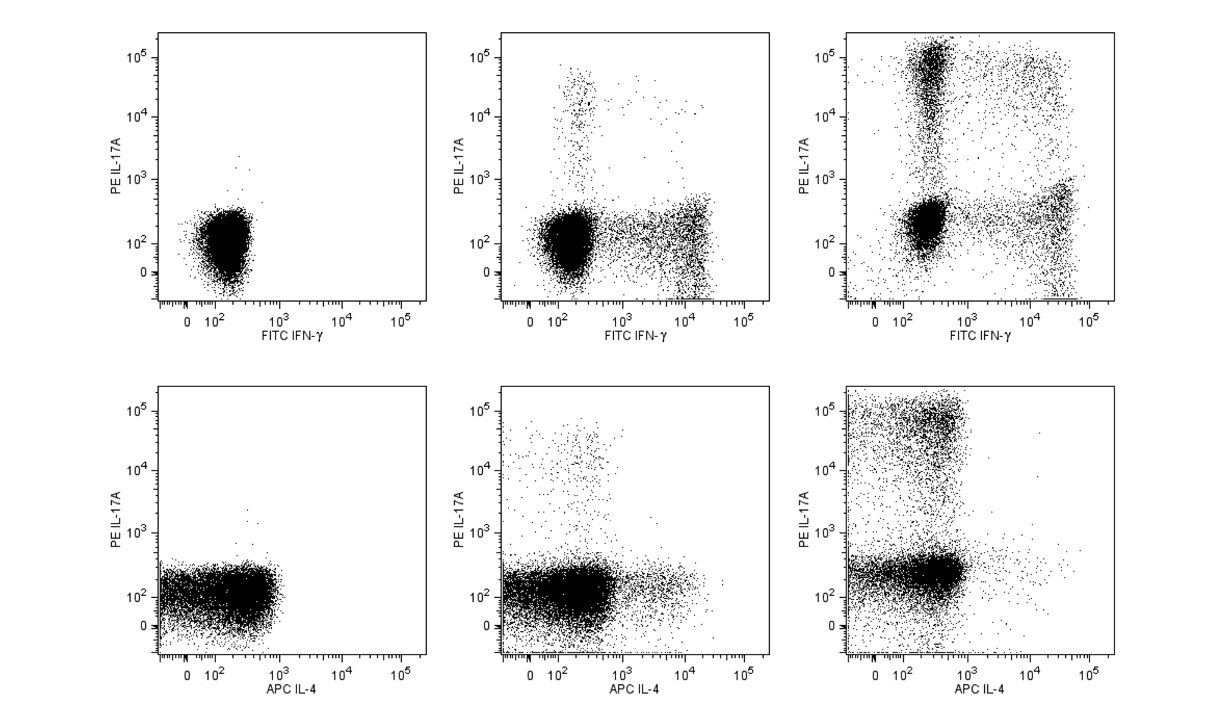 BD Human Th1/Th2/Th17 Phenotyping Kit