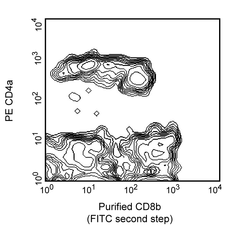 BD Purified Mouse Anti-Pig CD8b