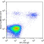 BD APC Mouse Anti-Human IgD