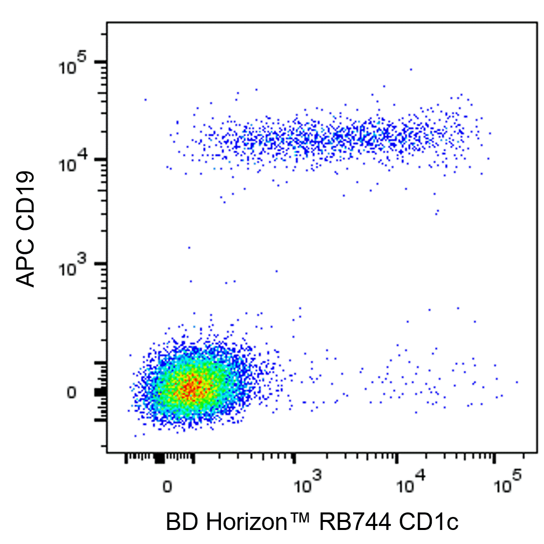 BD RB744 Mouse Anti-Human CD1c