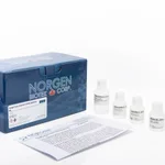 Norgen Fungi/Yeast Genomic DNA Isolation Kit