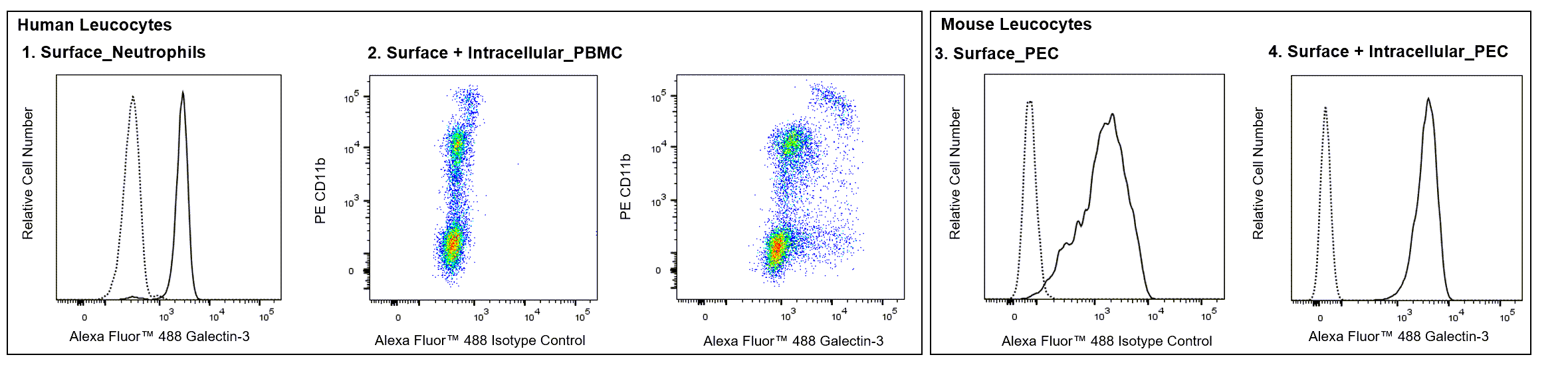 BD Alexa Fluor 488 Rat Anti-Galectin-3