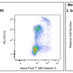 BD Alexa Fluor 488 Rat Anti-Galectin-3