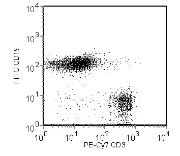 BD PE-Cy7 Rat Anti-Mouse CD3 Molecular Complex