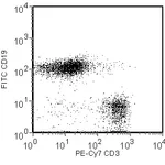 BD PE-Cy7 Rat Anti-Mouse CD3 Molecular Complex