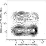 BD BV650 Rat Anti-Mouse CD62L