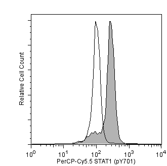 BD PerCP-Cy5.5 Mouse anti-Stat1 (pY701)
