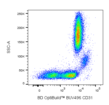 BD BUV496 Mouse Anti-Human CD31