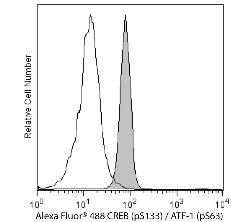 BD Alexa Fluor® 488 Mouse Anti-CREB (pS133) / ATF-1 (pS63)