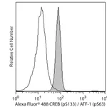 BD Alexa Fluor® 488 Mouse Anti-CREB (pS133) / ATF-1 (pS63)