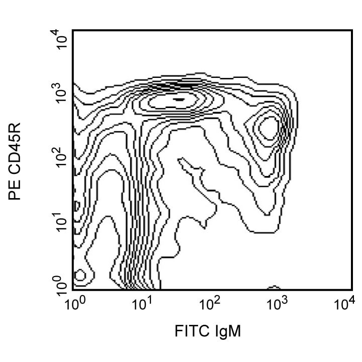 BD PE Mouse Anti-Rat CD45R